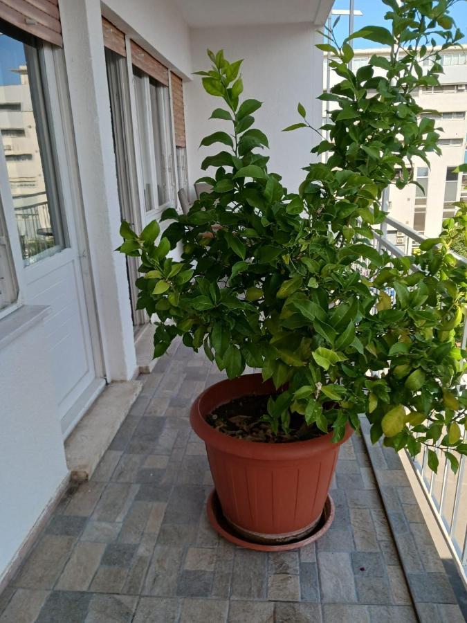 Room With Private Toilet And Terrace In City Center In Shared Apartment Split Extérieur photo